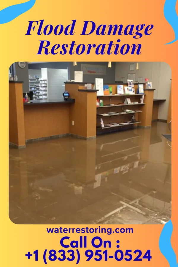 Flood Damage Restoration in Boiling Spring Lakes, NC